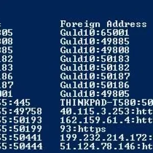 GULD10 Netstat.webp