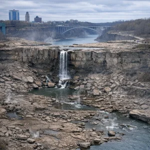 Media '3588.webp' in category 'The Water Cooler'