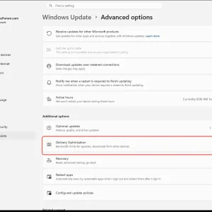windowsforum-settings-windowsupdate-advanced-options-0101729c.webp