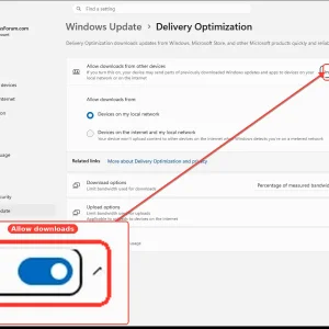 windowsforum-settings-deliveryopt-7cd89903.webp