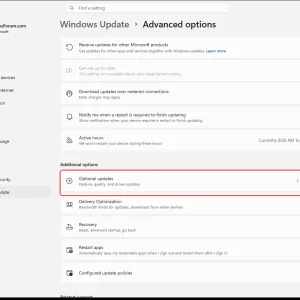 windowsforum-settings-windowsupdate-advanced-options-0101729c.webp