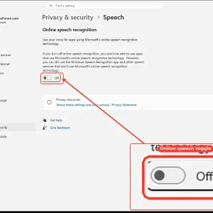 windowsforum-settings-privacy-speech-295dbe57.webp