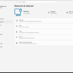 windowsforum-settings-network-status-47e3c519.webp