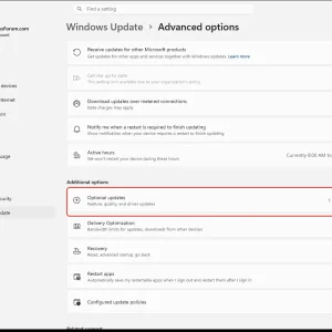 windowsforum-settings-windowsupdate-advanced-options-0101729c.webp
