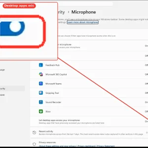 windowsforum-settings-privacy-microphone-b2da391d.webp