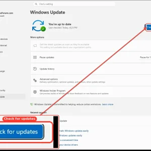 windowsforum-settings-windows-update-fef4b189.webp