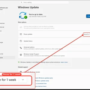 windowsforum-settings-windows-update-fef4b189.webp