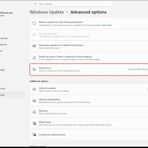 windowsforum-settings-windowsupdate-advanced-options-0101729c.webp