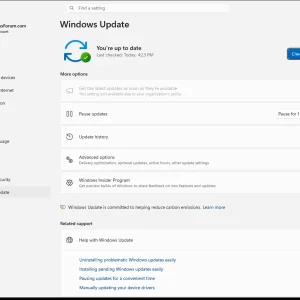 windowsforum-settings-windows-update-fef4b189.webp