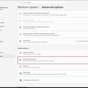 windowsforum-settings-windowsupdate-advanced-options-0101729c.webp