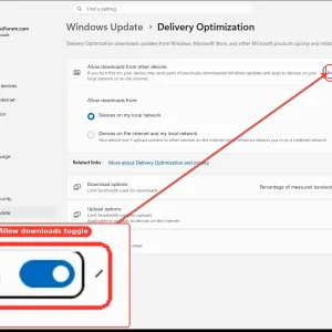 windowsforum-settings-deliveryopt-7cd89903.webp