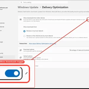 windowsforum-settings-deliveryopt-7cd89903.webp