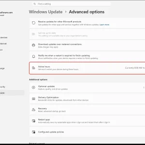windowsforum-settings-windowsupdate-advanced-options-0101729c.webp