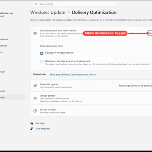 windowsforum-settings-deliveryopt-7cd89903.webp