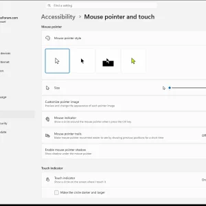 windowsforum-settings-accessibility-mouse-pointer-touch-f725ca80.webp