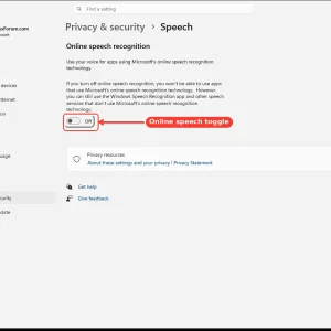 windowsforum-settings-privacy-speech-295dbe57.webp