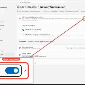 windowsforum-settings-deliveryopt-7cd89903.webp