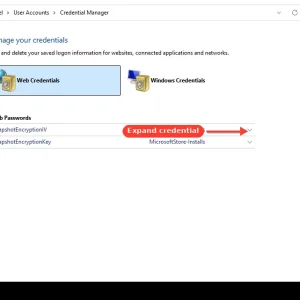 windowsforum-control-credential-manager-9caaebd6.webp