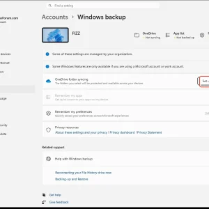 windowsforum-settings-backup-f3987d50.webp