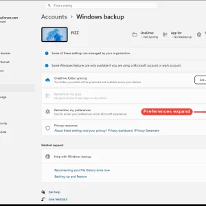 windowsforum-settings-backup-f3987d50.webp