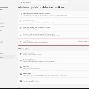 windowsforum-settings-windowsupdate-advanced-options-0101729c.webp