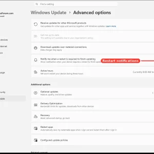 windowsforum-settings-windowsupdate-advanced-options-0101729c.webp