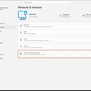 windowsforum-settings-network-status-47e3c519.webp