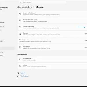 windowsforum-settings-accessibility-mouse-bc4ab591.webp