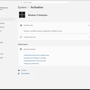 windowsforum-settings-activation-1151eb2e.webp