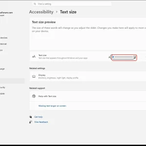 windowsforum-settings-texts-size-cc984d50.webp