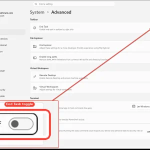 windowsforum-settings-for-developers-end-task-52e9fae8.webp