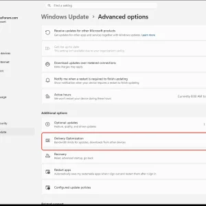 windowsforum-settings-windowsupdate-advanced-options-0101729c.webp