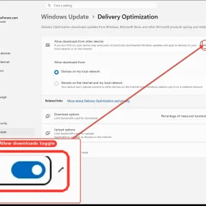 windowsforum-settings-deliveryopt-7cd89903.webp