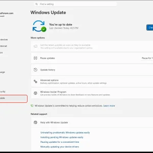 windowsforum-settings-windows-update-fef4b189.webp