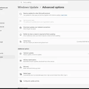 windowsforum-settings-windowsupdate-advanced-options-0101729c.webp