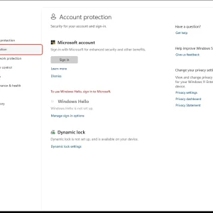 windowsforum-windows-security-account-protection-1d0d8af5.webp