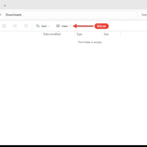 windowsforum-file-explorer-downloads-04203db2.webp