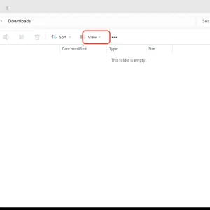 windowsforum-file-explorer-downloads-04203db2.webp