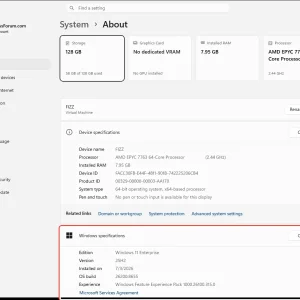 windowsforum-settings-about-1de3c88e.webp