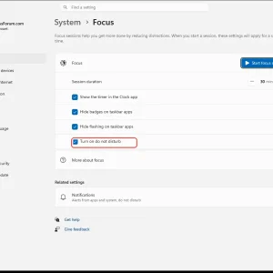 windowsforum-settings-notifications-focus-2bac2cf8.webp