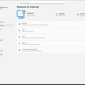 windowsforum-settings-network-status-2bb19bf5.webp