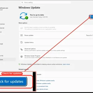 windowsforum-settings-windows-update-12e0141e.webp