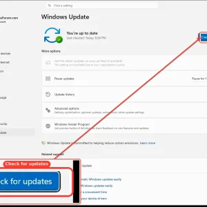 windowsforum-settings-windows-update-12e0141e.webp