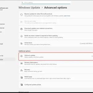 windowsforum-settings-windowsupdate-advanced-options-ffe1b930.webp