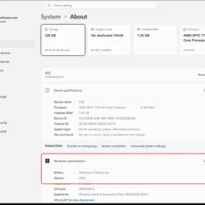 windowsforum-settings-about-a4eaeb20.webp