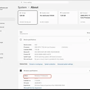 windowsforum-settings-about-a4eaeb20.webp