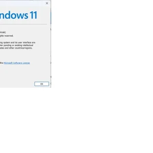 winver command returns this.webp