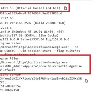 item 1 version info.webp