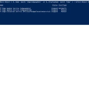 one additional updater check.webp