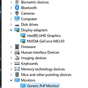 Device Manager Showing both adapters and monitors.webp